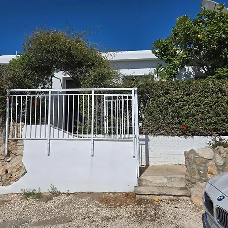 Urban Oasis Next To The Tatil Evi *