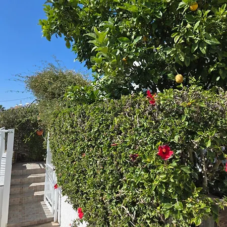 Urban Oasis Next To The Tatil Evi