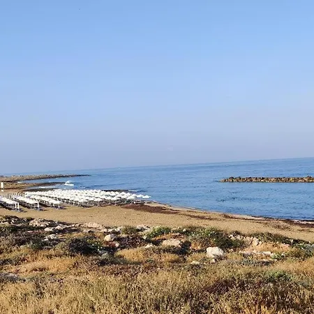 Urban Oasis Next To The Ferienhaus Paphos
