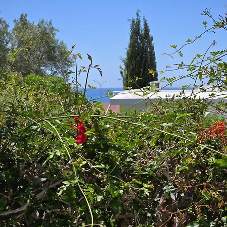 Vakantiehuis Urban Oasis Next To The