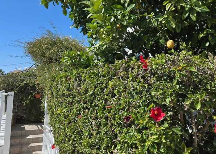 Urban Oasis Next To The Casa de Férias