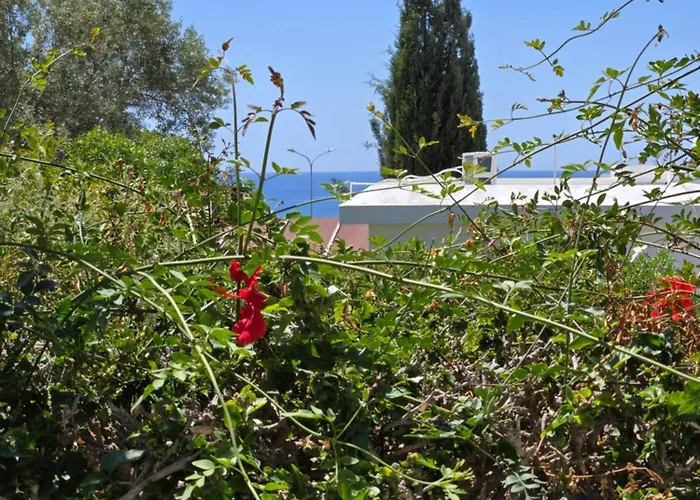 Casa de Férias Urban Oasis Next To The