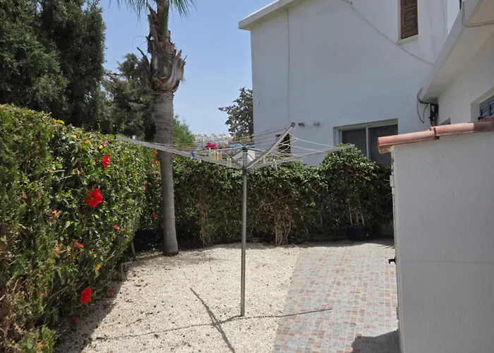 Urban Oasis Next To The Pafos